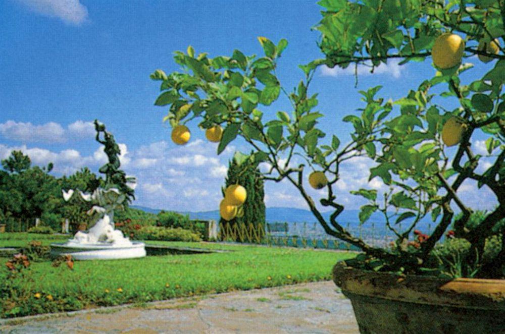 Hotel Villa Le Rondini Florencia Exterior foto